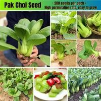 ราคา Fast Germination Soon Huat Benih Siew Pak Choy Biji Benih Pak Choi กะหล่ำปลีเซี่ยงไฮ้ High Quality Vegetable Benih Sawi Jepun Hijau Dwarf Pak Choy pcs White Bok Choy pc Sawi Putih Vegetables Plants F 