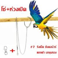 ราคา โซ่คล้องขานก โซ่นก ห่วงขานก ห่วงเปิดขานก ยาว 80 cm เลิฟเบร์ด นกกรงหัวจุก นกเอี้ยง (21092908281)