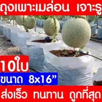 ราคา ถุงปลูกเมล่อน 10ใบ ขนาด 8x16 เจาะรู มะเขือเทศ ถุงเพาะเมล่อน ถุงเพาะสีขาว ถุงเพาะชำ เนื้อหนาสุด เหนียวสุด ไม่ขาดง่าย เนื้อHD (5492302414)
