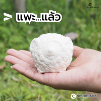 ราคา ตุ๊กตานวดมือยางพาราเพื่อสุขภาพ Pararaksa บีบแก้นิ้วล็อค อาการปวดตามนิ้วมือ สินค้าจากยางพาราแท้ (22564251989)