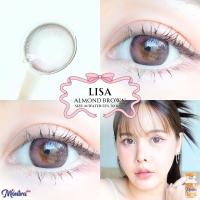 ราคา คอนแทคเลนส์ ขนาดกลาง สี Brown Gray Almond Layla Montra (22032518558)