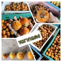 ราคา หมากแดง หมากสด (17327966168)