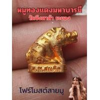 ราคา หมูทองแดงมหาบารมี หลวงพ่อสมคิด วัดบึงตาต้า ระยอง (22375284923)