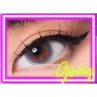 ราคา คอนแทคเลนส์ Innocent Brown Gray Shinee ขนาดมินิ (20585328464)