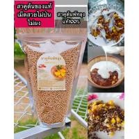 ราคา สาคูต้นพัทลุงแท้ ขนาด 500 กรัม (22466202244)