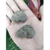 ราคา NEW หอยขมเกษตร ตัวละ1บาท เกษตรแท้ (17483276529)