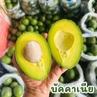 ราคา พร้อมส่ง 1KG อโวคาโด้แฮส 034 TA21 บูธ7 แก่จัด avocado hass (22551527431)