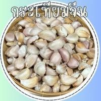 ราคา ส่งฟรี 1กิโล กระเทียมจีนกลีบใหญ๋ คัดเกรด A มีคุณภาพ เม็ดสวย (22708453468)