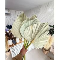 ราคา ใบตาลแห้ง ใบตาลธรรมชาติ คละไซต์ ตกแต่งคาเฟ่ (21568035755)