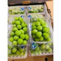 ราคา องุ่นไซมัสคัสถูกที่สุด (22606498717)