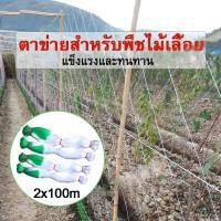 ราคา ตาข่ายปลูกพืชผัก โครงไม้เลื้อย ค้างปลูกผัก อวนปลูกผัก ตาข่ายอวน ค้างแตง ไม้เลื้อย ตาข่ายไนล่อน สูง 2 เมตร x ยาว 100 เมตร (22457928376)