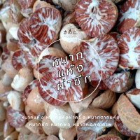 ราคา หมากแห้ง หมากแห้งผ่าครึ่ง หมากตากแห้ง dried areca nut หมากซีก หมากพลู หมากคัดคุณภาพ (21755648962)