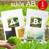 ราคา แม่ปุ๋ย AB เข้มข้น 1 ลิตร ถูกที่สุด 49บ สำหรับปลูกไฮโดรโปนิกส์ ทุกระบบ ผักสลัด ผักไทย ปุ๋ยไฮโดรโปนิกส์ (22512900206)