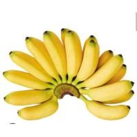 ราคา พร้อมส่ง กล้วยไข่ภูเขาไฟอำเภอกันทรลักษ์ แบบสุก มีหลายขนาดให้เลือก 3Kg 5Kg 7kg (20126172679)