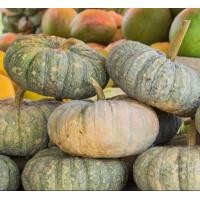 ราคา ฟักทอง ทองอำพัน 426 ฟักทอง ทองคำ 443 ฟักทอง พันธุ์ คางคก ฟักทอง ประกายเงิน บรรจุ 50 เม็ลด ลูกดก เนื้อแน่น เมล็ดฟักทอง สำหรับปลูก ลูกใหญ่ A พร้อมส่ง (22578074778)