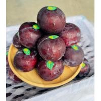 ราคา ลูกไหนนำเข้า 1kg หวานอมเปรี้ยว สามารถทานดิบทานสุกได้ค่ะ (22312247100)