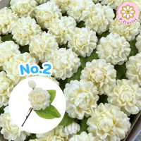 ราคา เข็มกลัดดอกมะลิ แพ็ค 4 20 ชิ้น เข็มกลัดติดอกวันแม่ เข็มกลัดวันแม่ เข็มกลัดมะลิ ดอกมะลิ รักแม่ (19811008712)