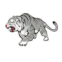 ราคา Creative Tiger สติ๊กเกอร์รถ 3D Eye Catching Design สําหรับรถประตูและ Bonnets ส่วนบุคคลแผ่นตกแต่งสําหรับรถจักรยานยนต์ (21339934706)