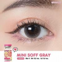 ราคา คอนแทคเลนส์ Mini Soft Gray Brown ยี่ห้อ kitty kawaii ค่าสายตาปกติ 1000 (17283521610)