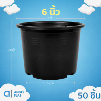 ราคา กระถางต้นไม้กลม ขนาด 2 3 4 5 5 5 5 7 6 นิ้ว (21933609895)
