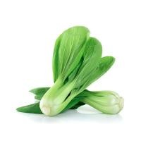 ราคา สดจากไร่ กวางตุ้งไต้หวัน สด สะอาด รับประกันคุณภาพ ราคาถูก ราคาส่ง (21380170965)