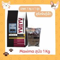 ราคา อาหารสุนัข Maxima แม็กซิม่า ขนาด 1 กก ขนาดเม็ดเล็ก สำหรับสุนัขทุกสายพันธุ์ อาหารหมา โปรตีนสูง (22067542012)