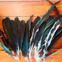 ราคา หางยกพวง หางปั่นคอ สำหรับไก่เลี้ยงชน (21591206402)