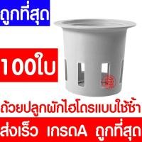 ราคา โค้ดส่งฟรี เมล็ดผัก รวมผักกาด เมล็ดพืชผัก สวนครัว งอกดี ปลูกผัก ปลูกไว้ทานเอง เมล็ดผักรวม ผักกาดขาวปลี ผักกาดหัว (21401183969)