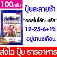 ราคา ปุ๋ยออสโมโค้ท ออสโมโค้ท ขนาด100กรัม ปุ๋ย ปุ๋ยออสโมโค้ท ปุ๋ยเม็ดละลายช้า ปล่อยธาตุอาหารต่อเนื่อง ออสโมโคท (22535801944)