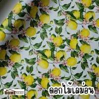 ราคา พลาสติกปูโต๊ะ หน้ากว้าง1 4เมตร ลายดอกไม้ การ์ตูน ใบไม้ ลิขสิทธิ์ ผ้าปูโต๊ะ pvc (22443350123)