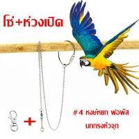 ราคา โซ่คล้องขานก โซ่นก ห่วงขานก ห่วงเปิดขานก ยาว 80 cm เลิฟเบร์ด นกกรงหัวจุก นกเอี้ยง (21092908260)