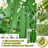 ราคา เมล็ดพันธุ์ บวบหอมยาว Long Luffa Seed บวบหอม สายฟ้า High Yield Luffa Seeds for Planting Vegetables Plant Seed F1 เมล็ดพันธุ์ บวบ เมล็ดพันธุ์ลูกผสม เมล็ดพันธุ์ผัก ผักสวนครัว 40 เมล็ด ซอง การจัดส่งที่รว