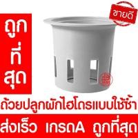 ราคา ถ้วยปลูกผัก 20 50 100ใบ ถ้วยสีดำปลูกผัก ผักไฮโดรโปนิกส์ ไฮโดร สลัด salad hydroponic hydro แบบใช้ซ้ำ หนา เหนียว (22023498324)