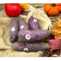 ราคา มันญี่ปุ่น มันญี่ปุ่นหวาน ดิบ มันหวานญี่ปุ่น ดิบ sweet potato king มันหวานดิบ เกรด1 น้ำหนัก 500 กรัม ไซด์ M 2 3หัว (21350414439)