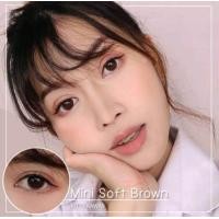 ราคา คอนแทคเลนส์ ธรรมชาติ รุ่น Mini Soft Mini Soff สีเทา ตาล gray brown มีค่าสายตา 0 00 10 00 (16501830939)