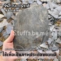 ราคา หินกาบ หินกาบบางบ่อ หินกาบธรรมชาติ ราคาต่อชิ้น (13466612113)