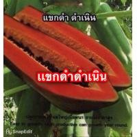 ราคา เมล็ดมะละกอ แขกดำดำเนิน 30 50 เมล็ด เนื้อสีแดง หวาน (22631703803)