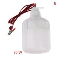 ราคา ZAU หลอดไฟ LED Ampoule LED bombillas 12V โคมไฟ20W 30W หลอดไฟแบบพกพา (22496581349)