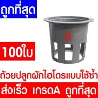 ราคา ถ้วยปลูกผัก 100ใบ ถ้วยเพาะ ถ้วยไฮโดร ถ้วยเทาปลูกผัก ไฮโดรโปนิกส์ ไฮโดร hydroponic hydro แบบใช้ซ้ำ ค่าส่งถูก (22023883499)