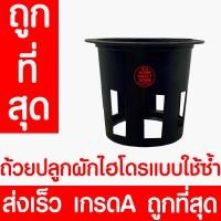 ราคา ถ้วยปลูกผัก 20 50 100ใบ ถ้วยสีดำปลูกผัก ผักไฮโดรโปนิกส์ ไฮโดร สลัด salad hydroponic hydro แบบใช้ซ้ำ หนา เหนียว (22023498322)