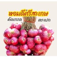 ราคา ส่งฟรี 1กิโล ใหม่หอมแดง ศรีสะเกษแท้ ตรงปก หอมแดงไทย มัดจุก คุณภาพดี เนื้อแน่น หัวสวย (22645503854)