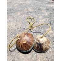 ราคา กะลาเดิน เดินกะลา พร้อมส่ง เชือกคละสี (21232876855)