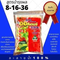 ราคา ปุ๋ยเกล็ด ออคิเดนซ์ สูตร 6 32 32 15 10 35 21 21 21 28 6 5 บำรุงดอก ผลผลิต เร่งราก สะสมอาหาร เร่งใบ ขยายผล (18594382618)