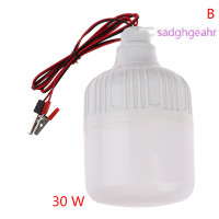 ราคา sadghgeahr หลอดไฟ LED Ampoule LED bombillas 12V โคมไฟ20W 30W หลอดไฟแบบพกพา (22250845742)