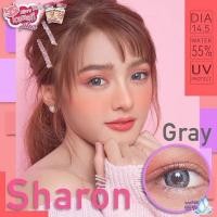 ราคา Kitty kawaii Sharon gray บิ๊กอาย (7858448821)