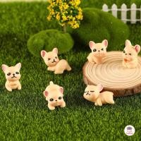 ราคา บูลด็อก เซต 6 ชิ้น ตุ๊กตาจิ๋ว โมเดลจิ๋ว แต่งสวน ตุ๊กตาแต่งสวนจิ๋ว ตุ๊กตาจัดสวนถาด (22218829959)