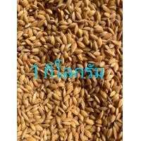 ราคา ข้าวนกเม็ดมะเขือเม็ดเล็ก นกเขาเล็ก นกเขาชวา นกเขาใหญ่ นกพิราบและลูกไก่ (22143784802)