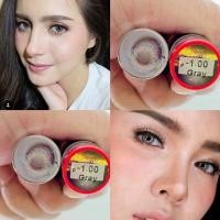 ราคา คอนแทคเลนส์ รุ่น Mini Lamune Florida สีเทา ตาล Gray Brown มีค่าสายตา 0 00 8 00 DDBE (21512010584)