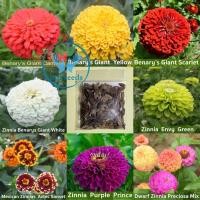 ราคา เมล็ดดอกบานชื่นคละสี 200เมล็ด ซอง บานชื่นซ้อน บานชื่นพรมเปอร์เซีย เมล็ดพันธุ์พรีเมี่ยมเกรด (22028867423)