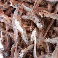 ราคา ปลากะตัก หรือ ปลาฉิ้งฉ้างแห้ง ครึ่งกิโลกรัม65บาท (22505431798)